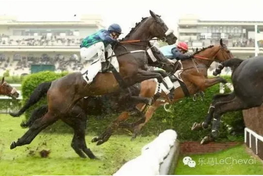 极速体育的世界：如何体验极限速度的疯狂？